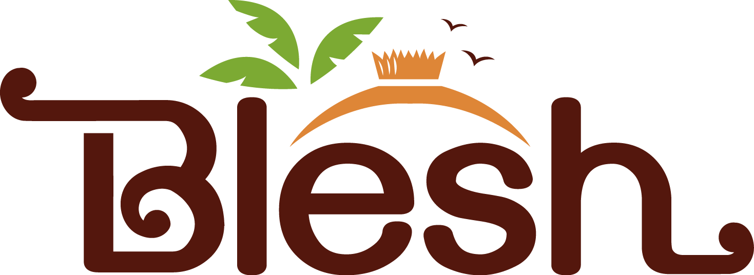 Blesh brand logo — wordmark with leaf and sun mark